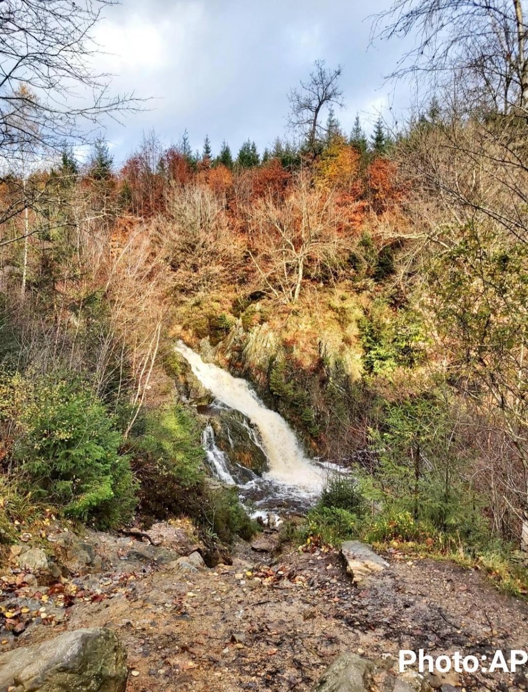 La Taniere Du Lac Robertville Eksteriør bilde